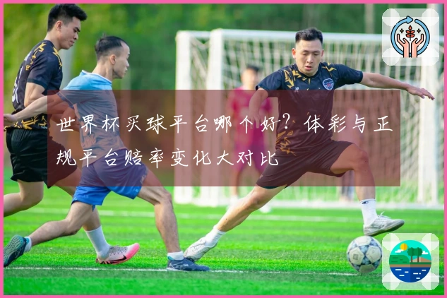 世界杯买球平台哪个好？体彩与正规平台赔率变化大对比