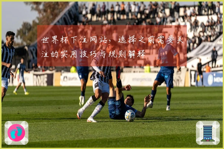 世界杯下注网站，选择之前需要关注的实用技巧与规则解释